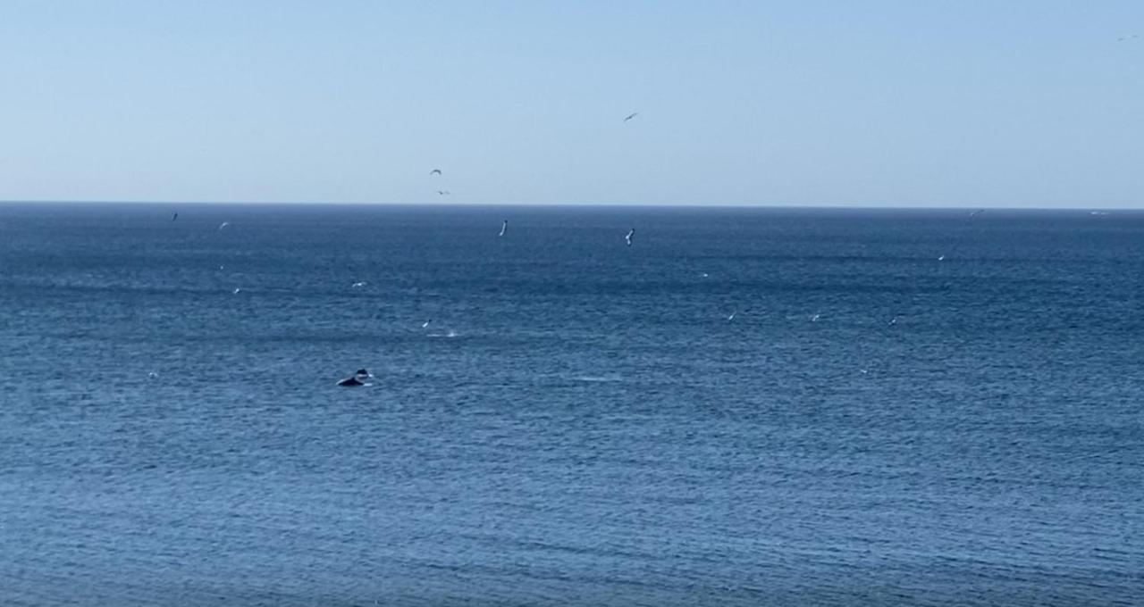 Casa De Playa Estepona